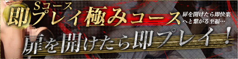 即プレイ極みコース(Sコース)